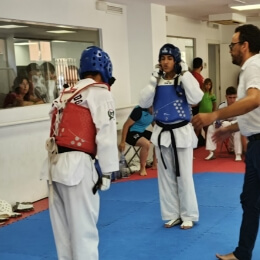 Formación de cinturones negros